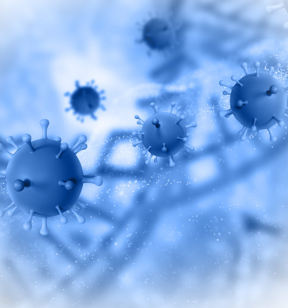 candida nedir